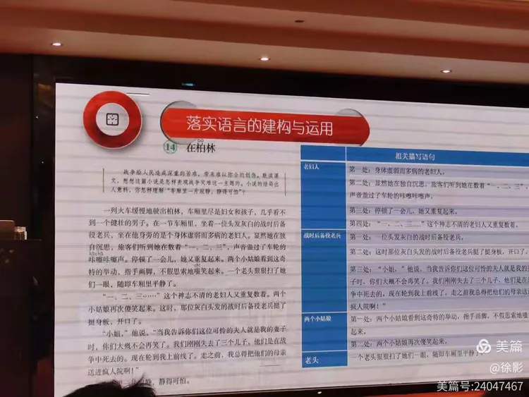 龙马精神打一最佳生肖，全面释义、实时解答解释落实