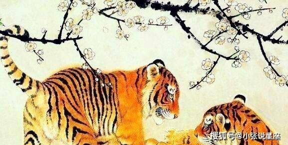用不到不为财望梅止渴正蠢才代表什么生肖,警惕虚假宣传落实,详细解答解释落实