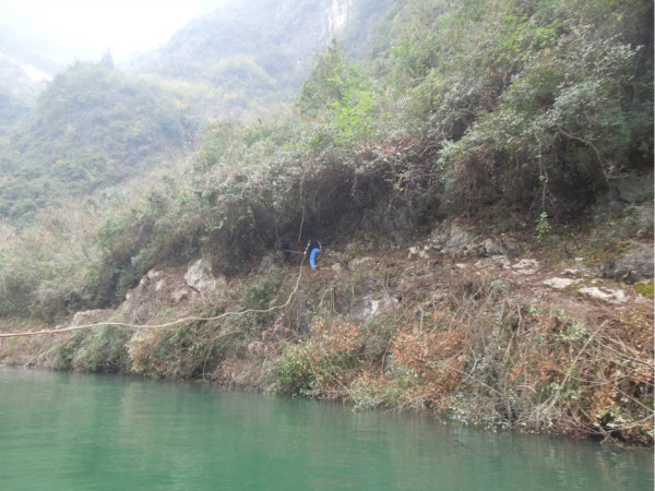 绿水青山洲生色金龙飞舞彩云间打一肖精选解析、解释与落实、详细解答解释落实