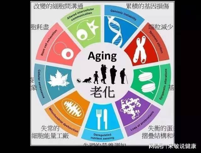 始信九数中有三打一生肖,警惕虚假宣传-全面释义、解释与落实、时代解答解释落实